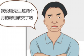 三门峡融资清欠服务